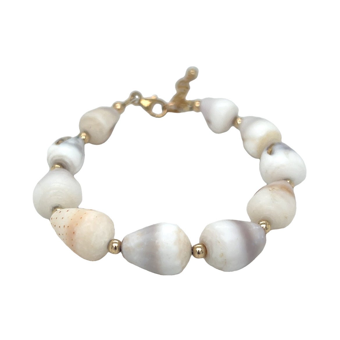 Cone Shell Bracelet - Kahakai Collections