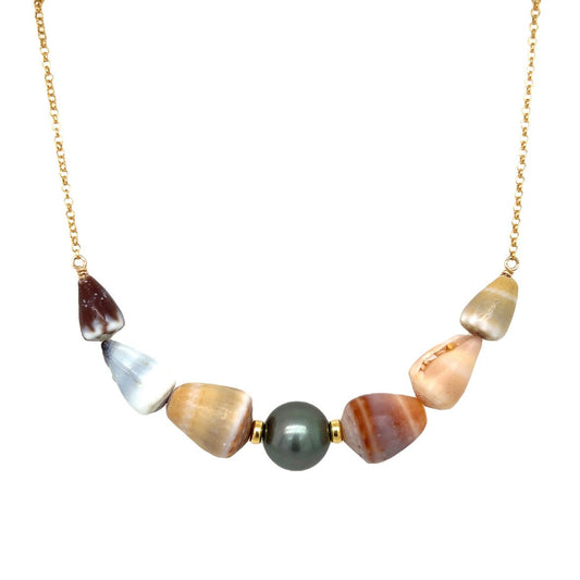 ‘Elua Multicolor Cone Shell Necklace - Kahakai Collections